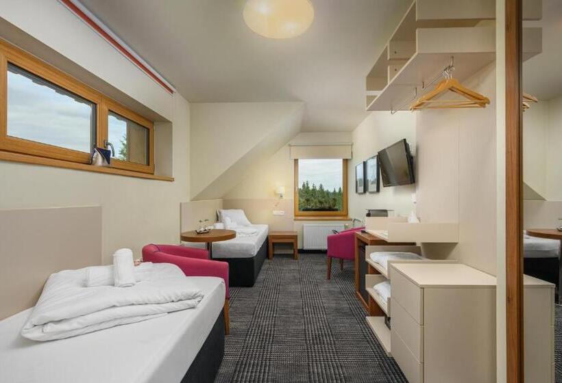 اتاق استاندارد, Premier  Adults Only