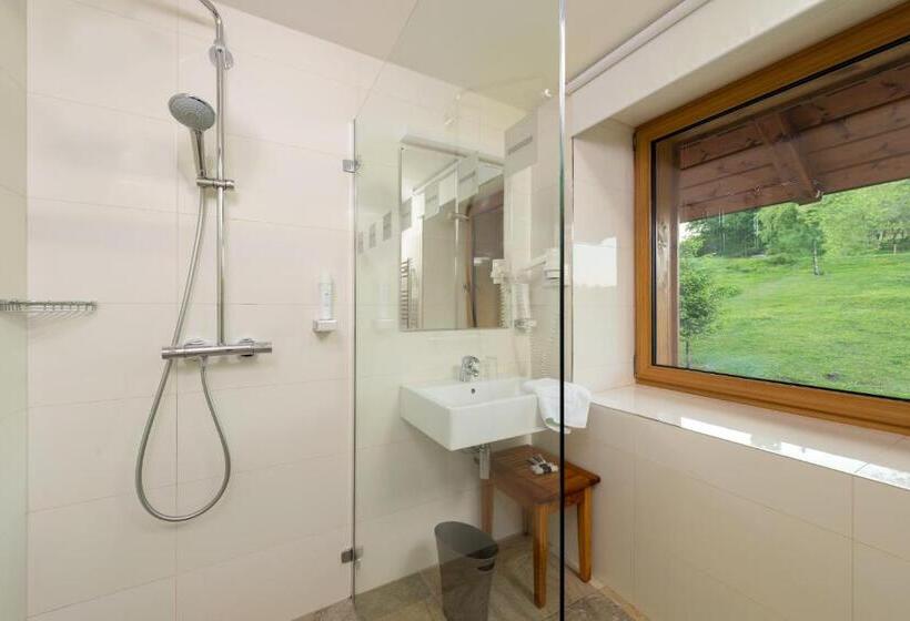 اتاق اکونومی, Premier  Adults Only