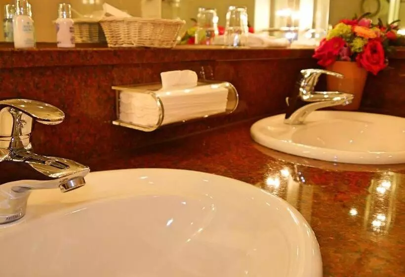 シングルデラックスルーム, Villa Hammerschmiede