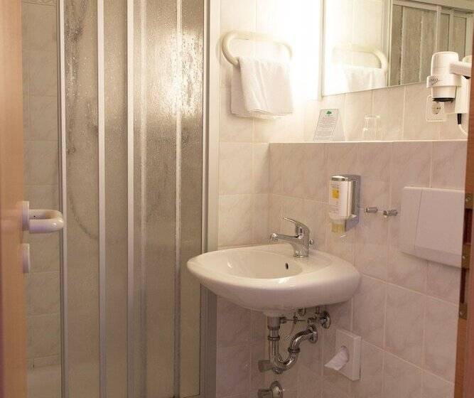 غرفة قياسية فردية, Werrapark Resort Hotel Frankenblick