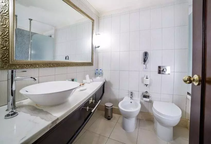 اتاق سوپریور, Grand Excelsior Hotel Deira
