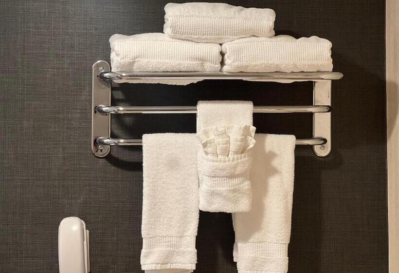 غرفة قياسية مزوَّدة بمطبخ, Inn At Great Neck