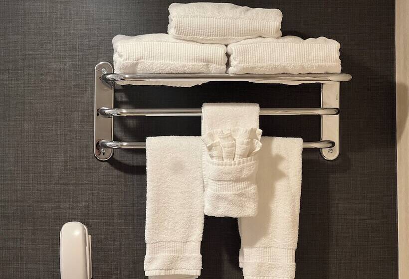 غرفه قياسيه سريرين مزدوجين, Inn At Great Neck