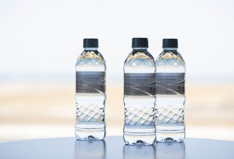 经济型三人房间, Nikko Kansai Airport   3 Mins Walk To The Airport