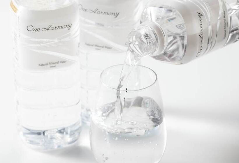 商务房间, Nikko Kansai Airport   3 Mins Walk To The Airport