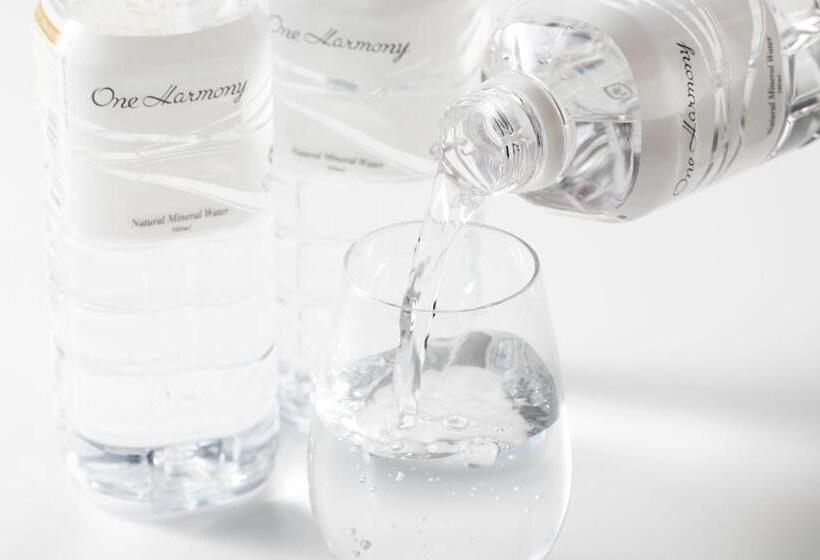 高级客房, Nikko Kansai Airport   3 Mins Walk To The Airport