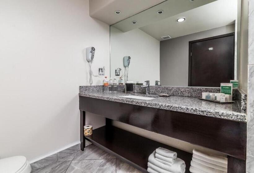 غرفة قياسية سرير كينج, Pueblo Amigo Hotel Plaza Y Casino