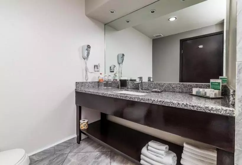 اتاق استاندارد با تخت بزرگ, Pueblo Amigo Hotel Plaza Y Casino
