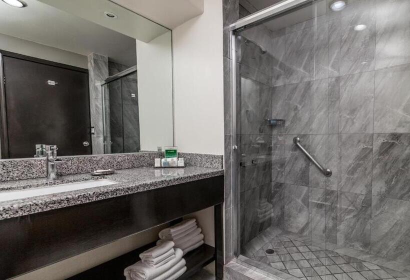 غرفة قياسية مطلّة علي الحديقة, Pueblo Amigo Hotel Plaza Y Casino