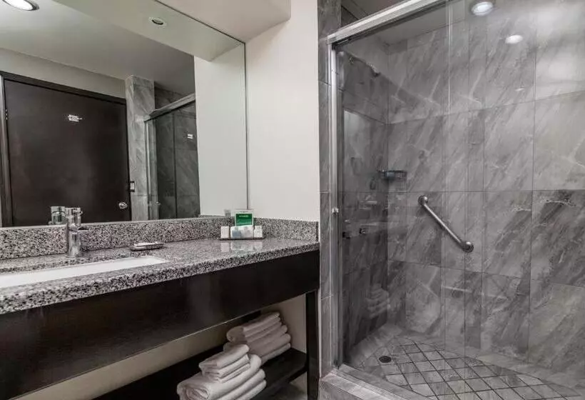 اتاق استاندارد با چشم‌انداز باغ, Pueblo Amigo Hotel Plaza Y Casino