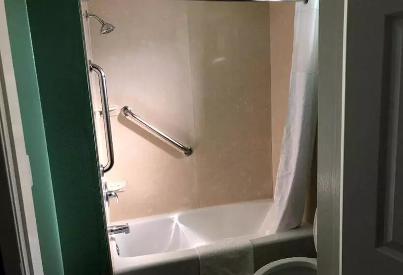 اتاق استاندارد با تخت بزرگ, Quality Inn Hemet  San Jacinto