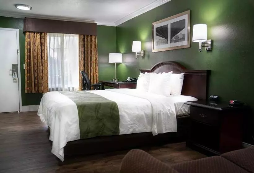 اتاق لوکس با تخت بزرگ, Quality Inn Hemet  San Jacinto