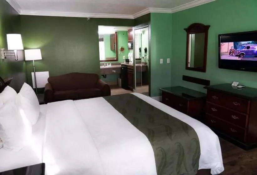 اتاق لوکس با تخت بزرگ, Quality Inn Hemet  San Jacinto