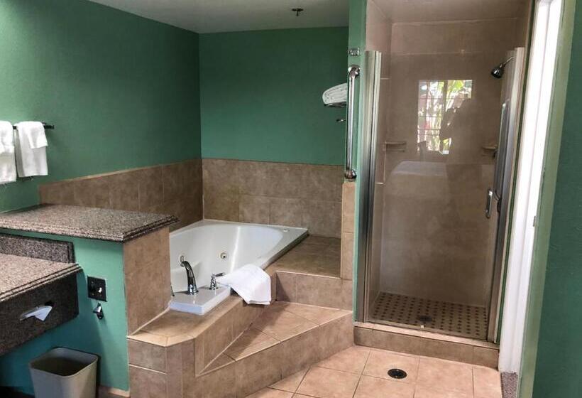 غرفة ديلوكس سرير كينج, Quality Inn Hemet  San Jacinto