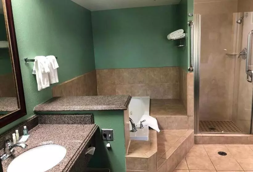 اتاق لوکس با تخت بزرگ, Quality Inn Hemet  San Jacinto