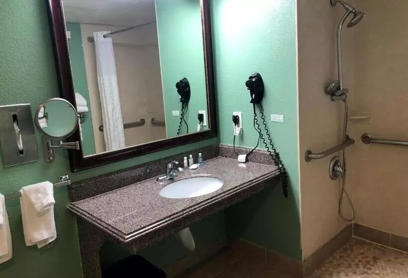 اتاق استاندارد با تخت بزرگ برای معلولان, Quality Inn Hemet  San Jacinto