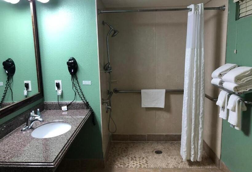 غرفة قياسية لذوى الاحتياجات الخاصة, Quality Inn Hemet  San Jacinto