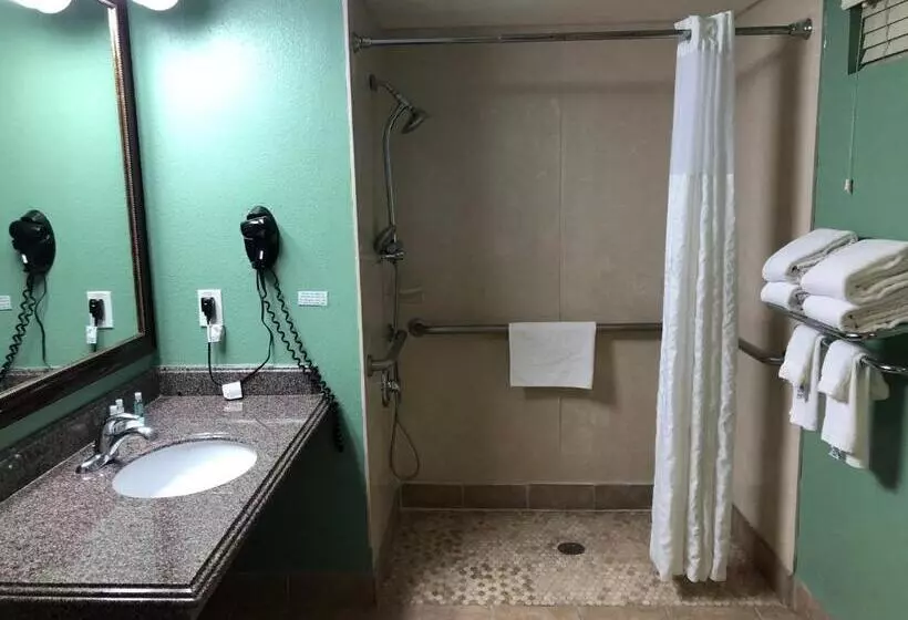 اتاق استاندارد برای معلولان, Quality Inn Hemet  San Jacinto