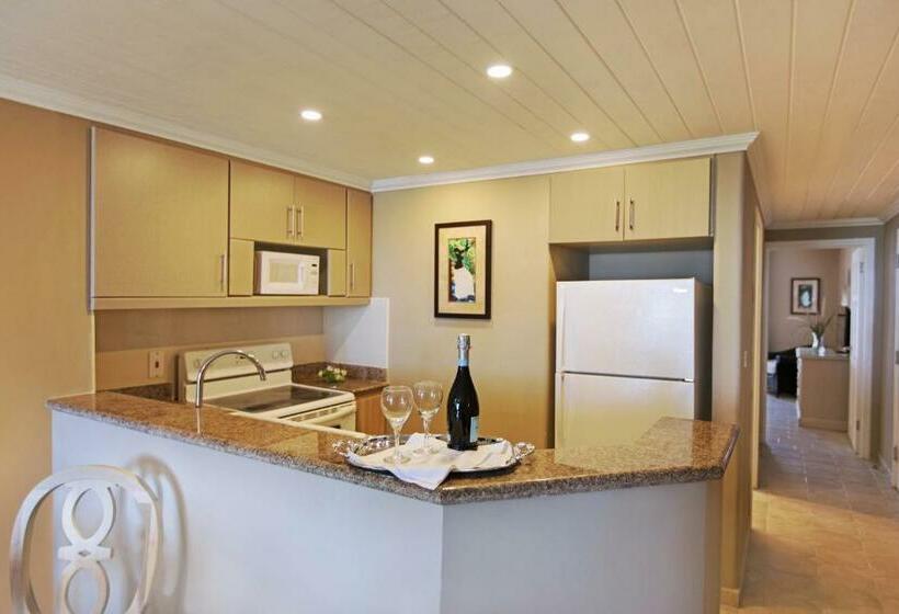 سوییت لوکس, Bougainvillea Barbados