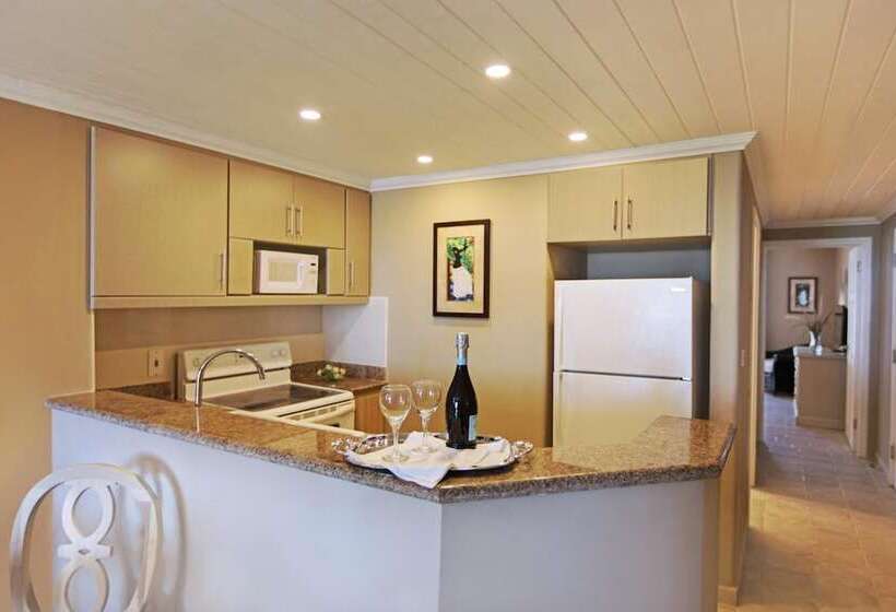 سوییت لوکس, Bougainvillea Barbados