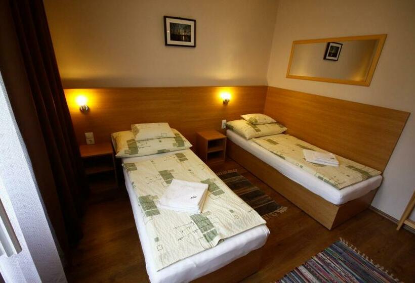 غرفة قياسية, Parti Panzió