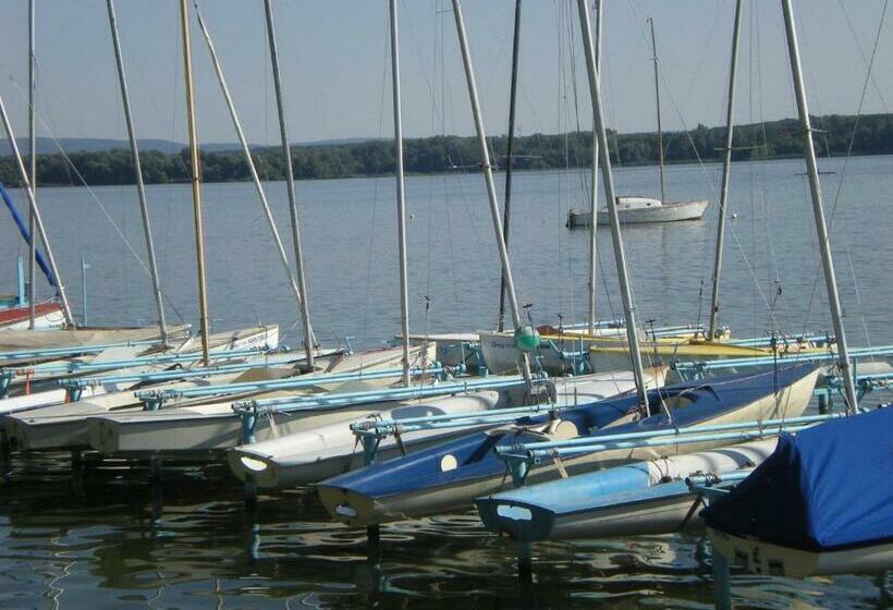 غرفة قياسية, Parti Panzió