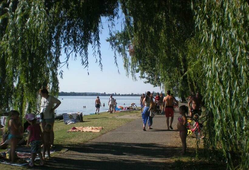 غرفة قياسية, Parti Panzió