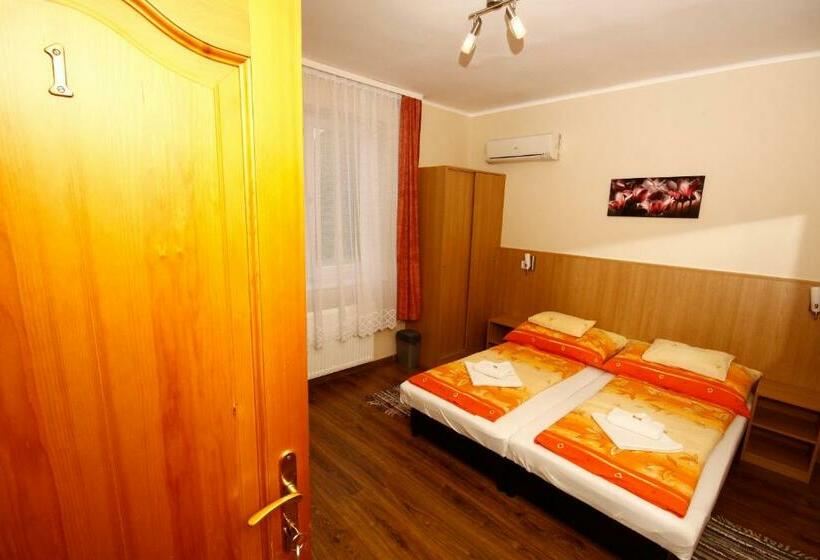 غرفة قياسية, Parti Panzió