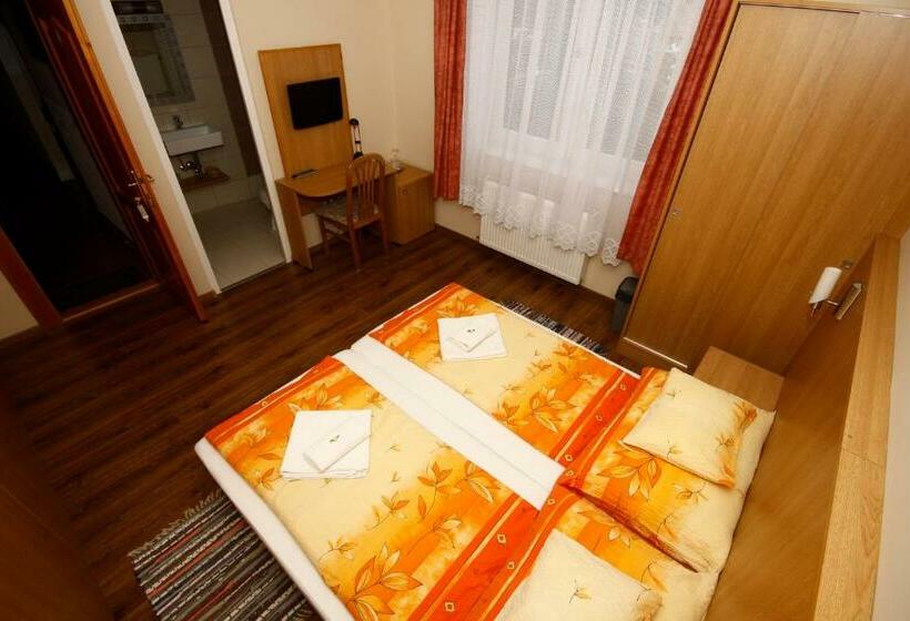 غرفة قياسية, Parti Panzió