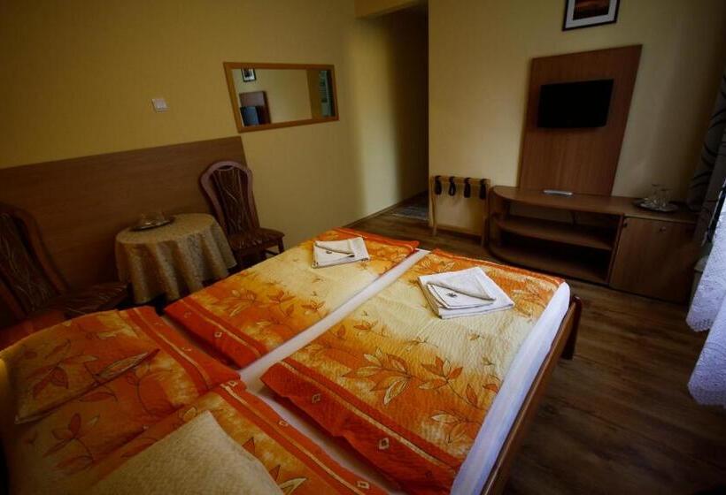 غرفة قياسية, Parti Panzió