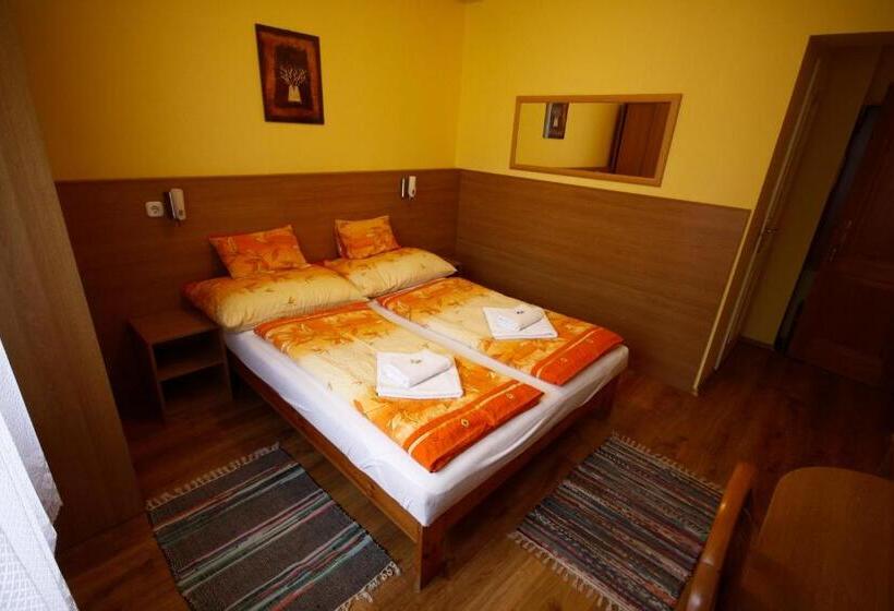 غرفة قياسية, Parti Panzió