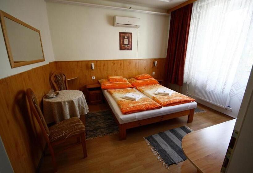 غرفة قياسية, Parti Panzió