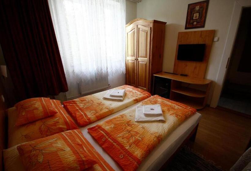 غرفة قياسية, Parti Panzió