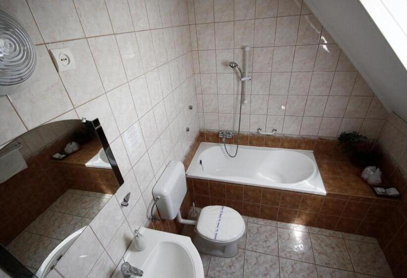 غرفة قياسية رباعية, Parti Panzió