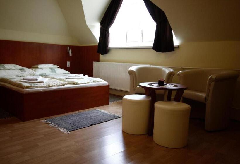 غرفة قياسية رباعية, Parti Panzió