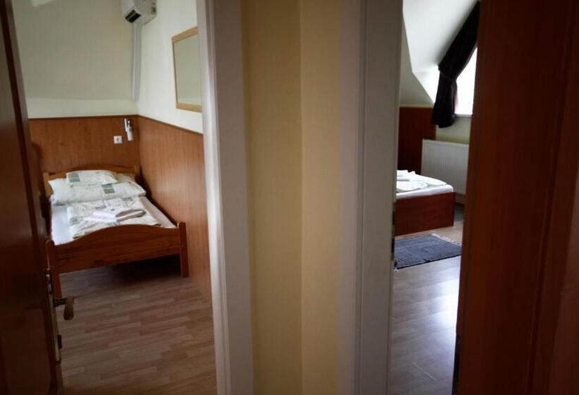 غرفة قياسية رباعية, Parti Panzió