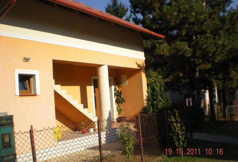 شقة غرفة واحدة, Parti Panzió