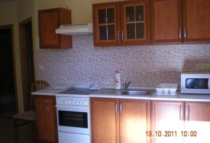 شقة غرفة واحدة, Parti Panzió