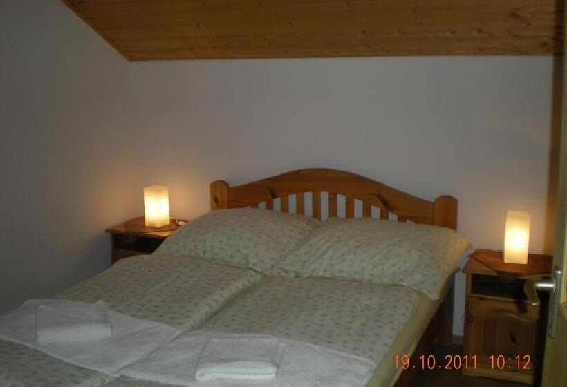 شقة غرفة واحدة, Parti Panzió