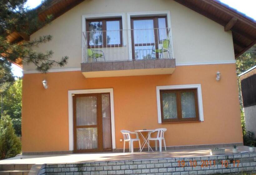 شقة غرفة واحدة, Parti Panzió