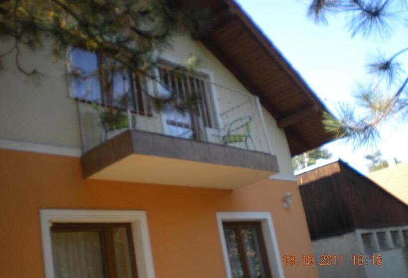 شقة غرفة واحدة, Parti Panzió