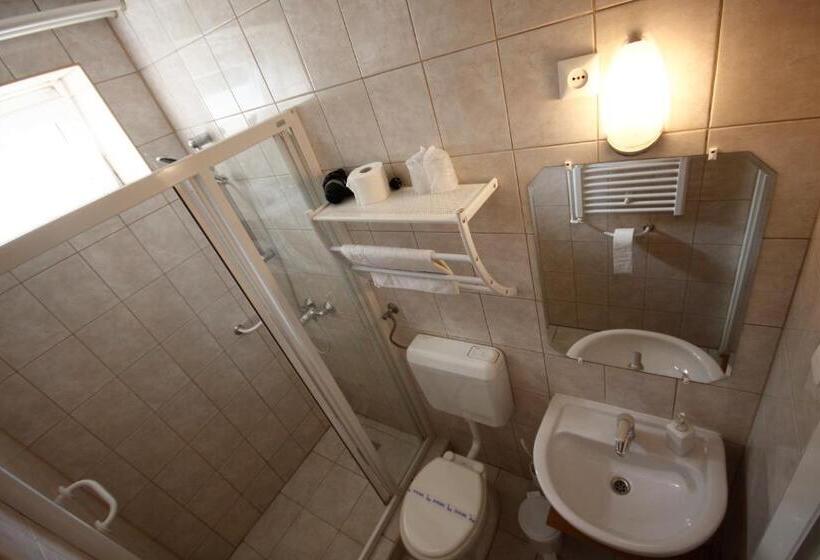 غرفة قياسية, Parti Panzió