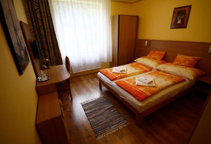 غرفة قياسية, Parti Panzió