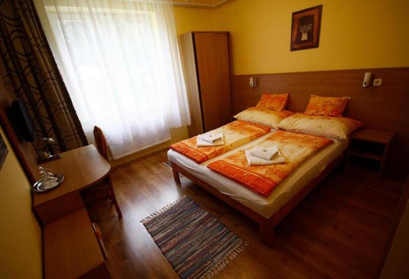 غرفة قياسية, Parti Panzió