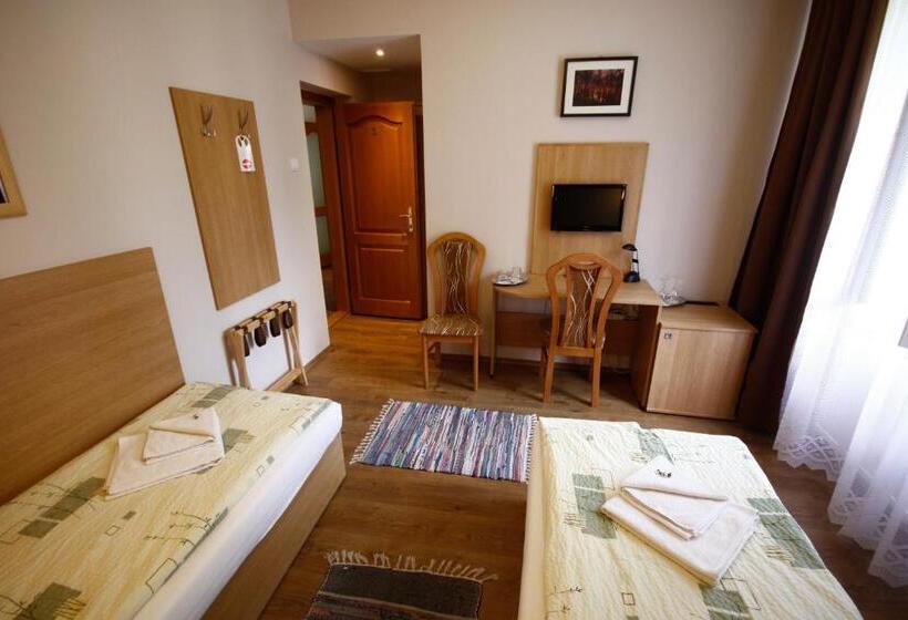 غرفة قياسية, Parti Panzió