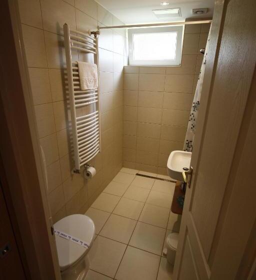 غرفة قياسية, Parti Panzió