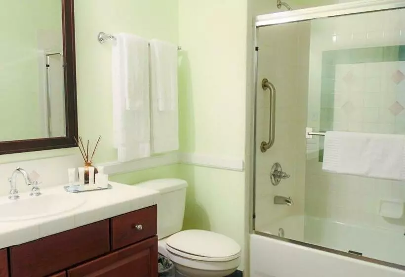 آپارتمان 1 خوابه, Hilton Vacation Club Grand Beach Orlando