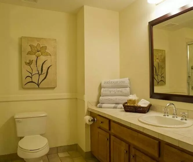 آپارتمان 1 خوابه, Hilton Vacation Club Grand Beach Orlando