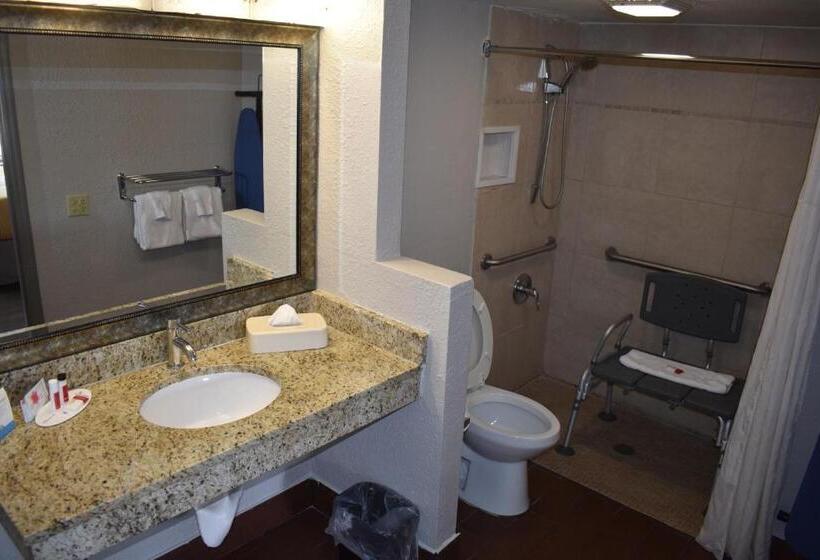 身障者適用キングサイズベッドルーム, Days Inn By Wyndham Wildwood I75