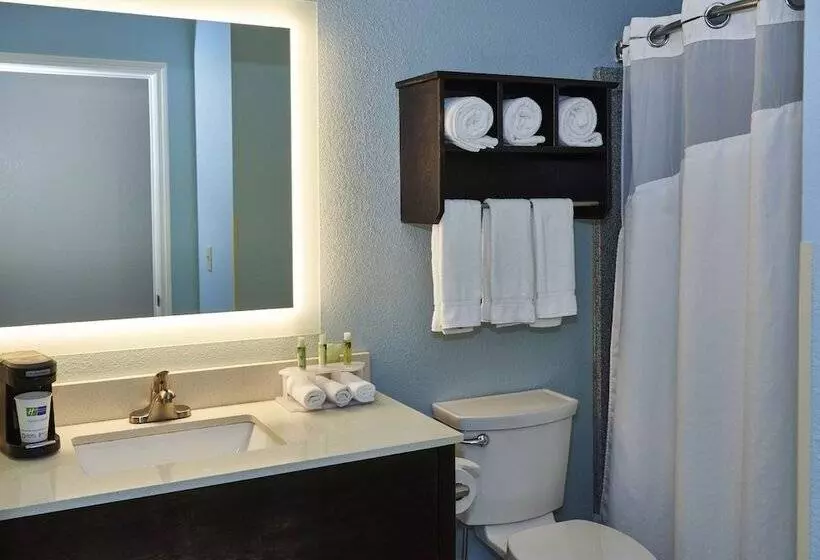 スタンダードルーム, Holiday Inn Express & Suites Birmingham South   Pelham, An Ihg